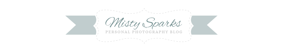 Misty Sparks • {Photography Blog} • Kentucky