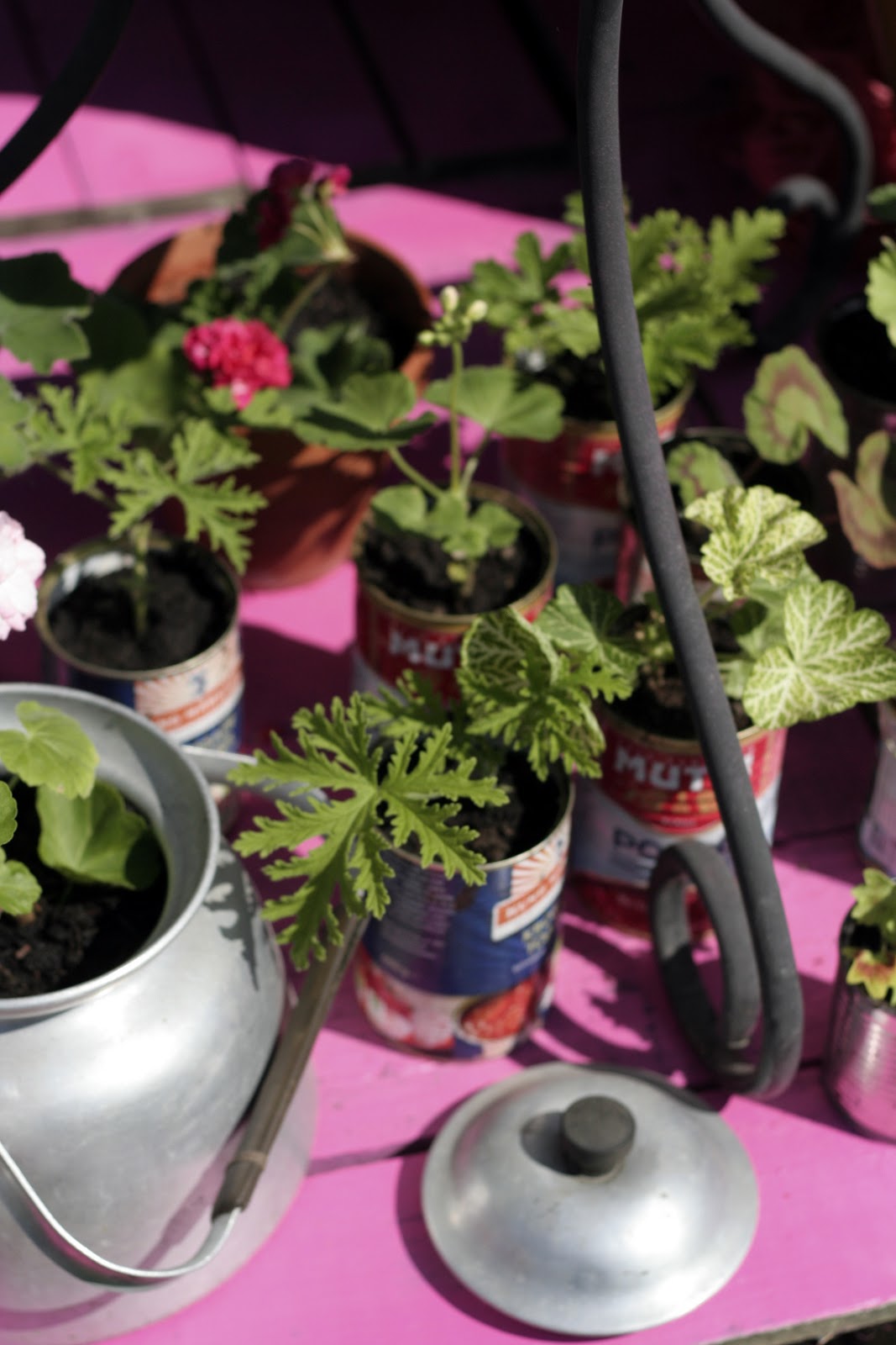 Ãarnas trädgÃ¥rdsplanering: malmö garden show inspireras av proffsen!