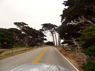 17 Mile Drive 