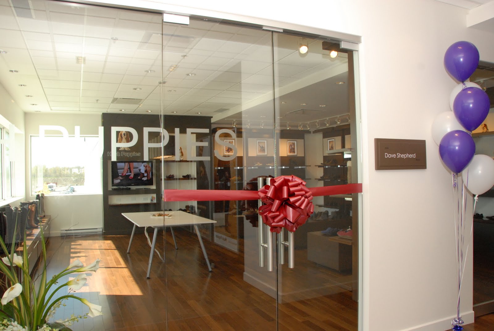 a woman's best friend: Hush Puppies Cocktail