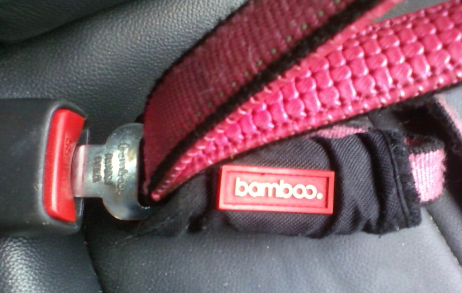 The Teacher's Pets 4 Reasons Why I Love My Bamboo Quick Control Dog