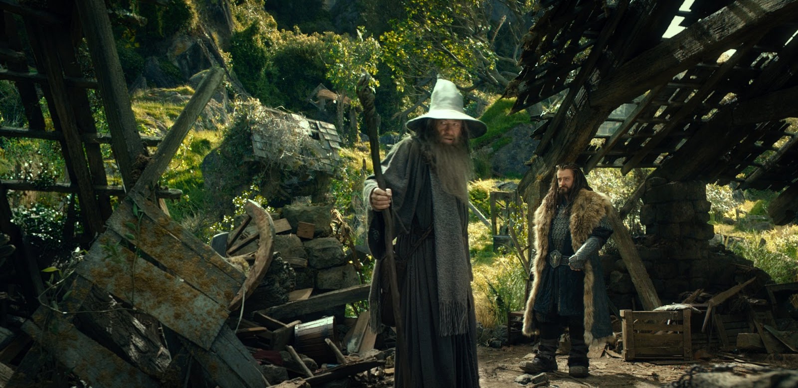 Der Hobbit Die Filmtrilogie (Filmkritik) Die Seilerseite.