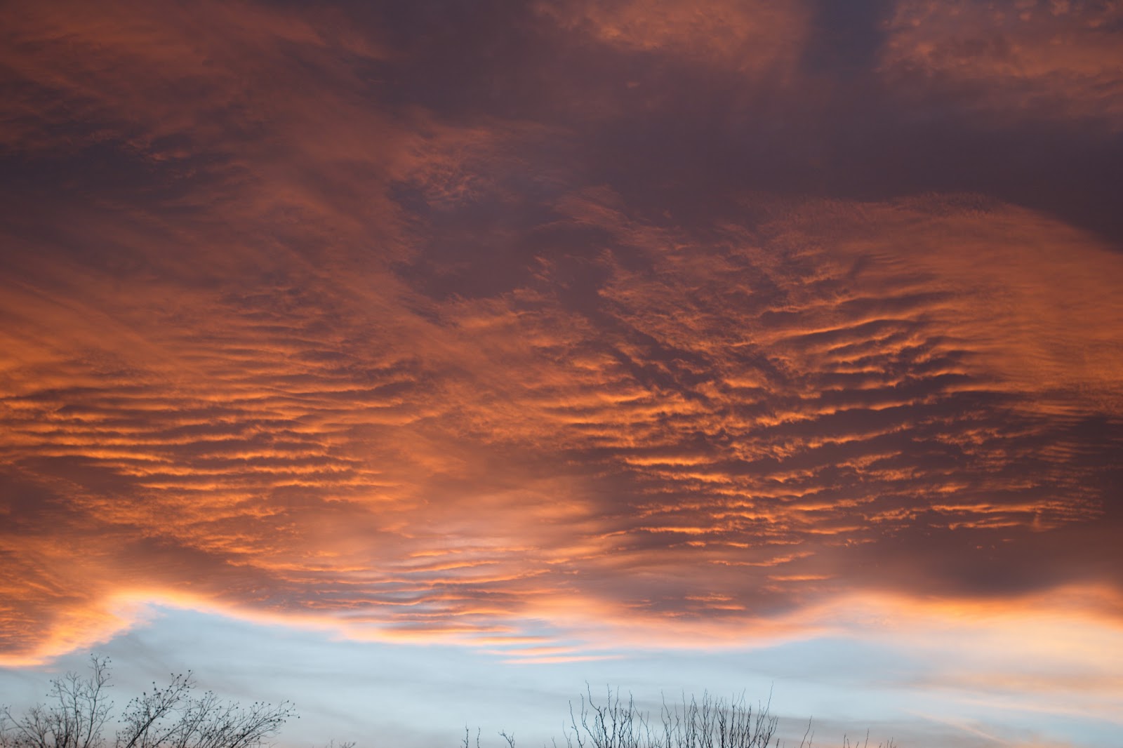 Steve's Fine Finish New Mexico January Sunset