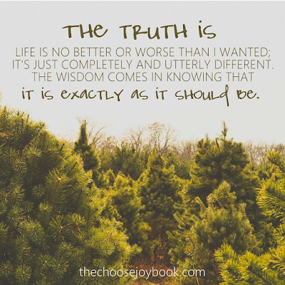 The truth is that life is no better or worse than I wanted; it’s just completely and utterly different. The wisdom comes in knowing that it is exactly as it should be.