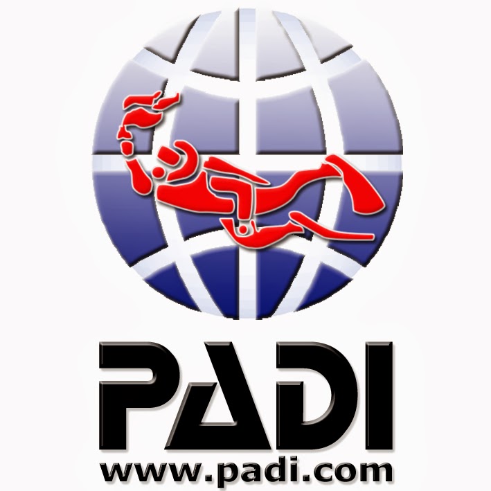 LOGO PADI | Gambar Logo