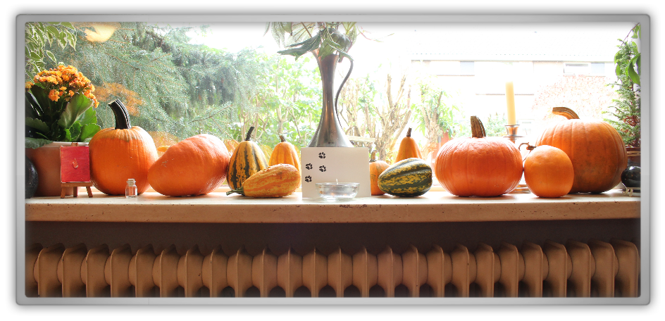겟잇뷰티박스 by 미미박스 memebox beautybox Superbox #80 Pumpkin Pie Cosmetics box unboxing review tara my harvest 겟잇뷰티박스 by 미미박스 memebox beautybox Superbox #80 Pumpkin Pie Cosmetics box unboxing review tara my harvest