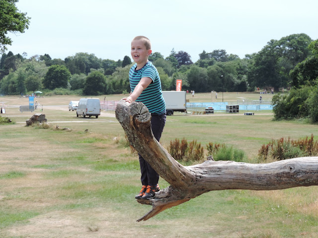 sky ride southampton common 