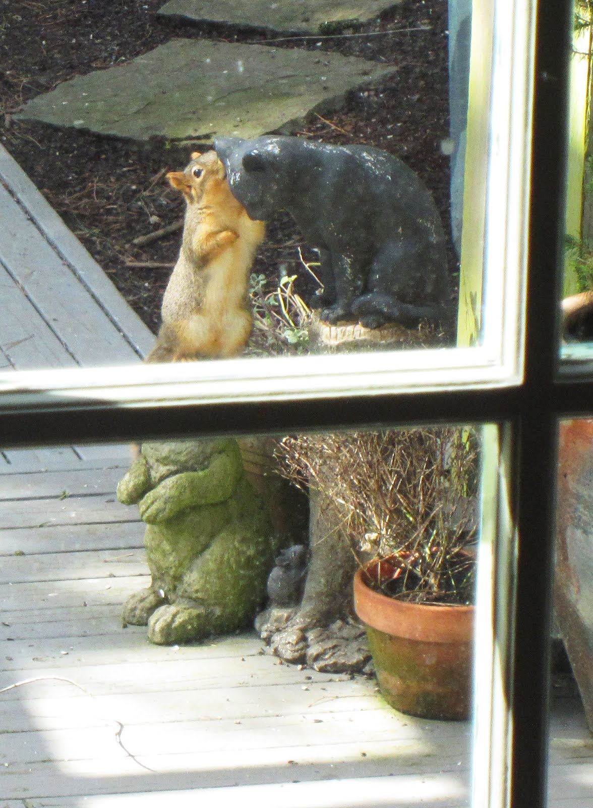 Cat and Squirrel | Lighthearted Press