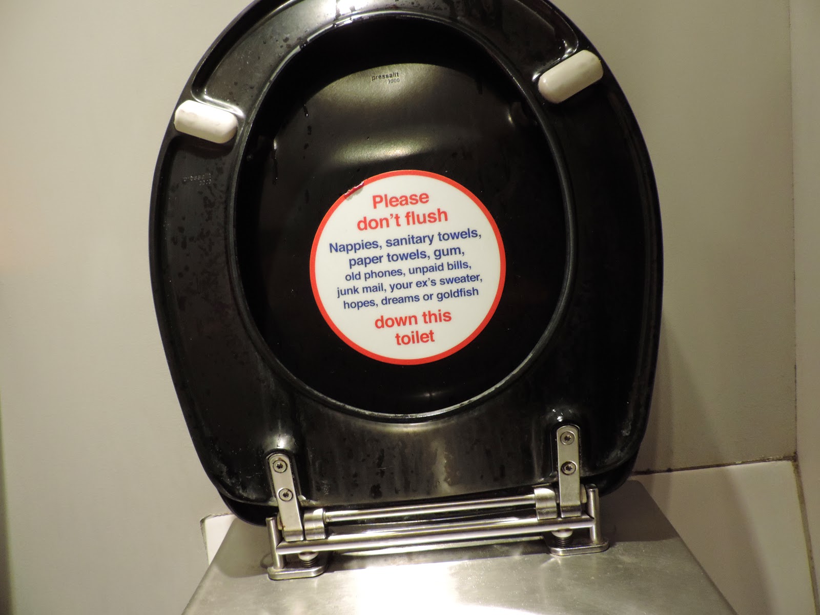 don't flush goldfish down this toilet