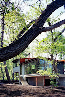 Nagano House Divided Design with 4 Areas and Rooflines Around as a Central Pillar Nagano House Divided Design with 4 Areas and Rooflines Around as a Central Pillar
