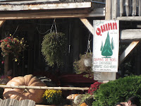 apple picking at Quinn farm in Montreal