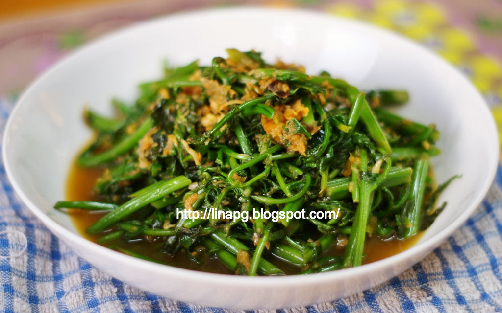 Teratak Mutiara Kasih Resepi Pucuk Paku Goreng Budu
