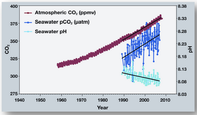 CO2_in_atmosphere_seawater_and_ocean_ph.png