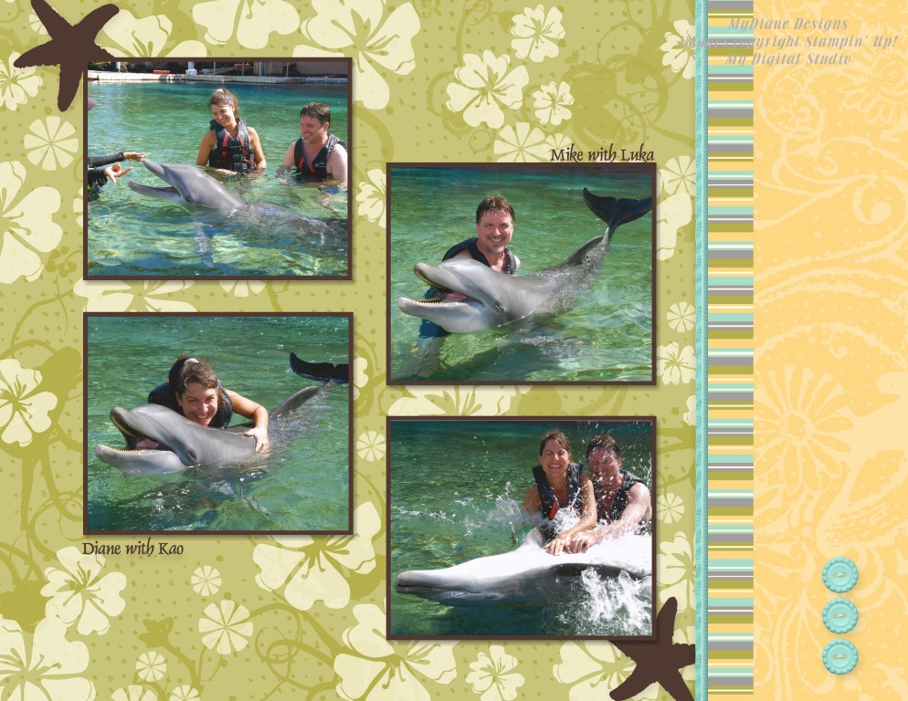MyDiane Designs Dolphin Quest