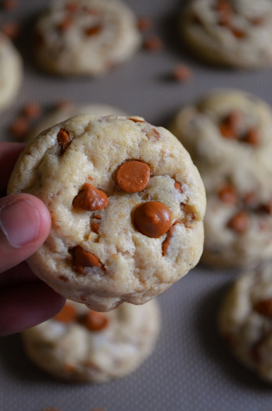For the Love of Dessert Cinnamon Pecan Pudding Cookies