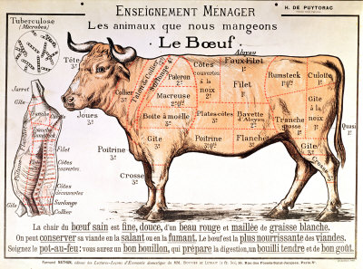 Beef Steak Cuts