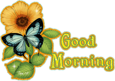 Good Morning Full Screen Hd Wallpaper Download