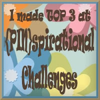 Pinspirational Challenges