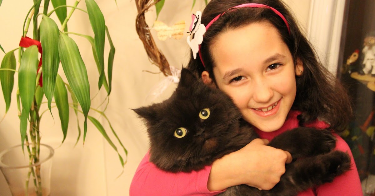 MARİFETLİ PERİ Kokoş Kedili Taç