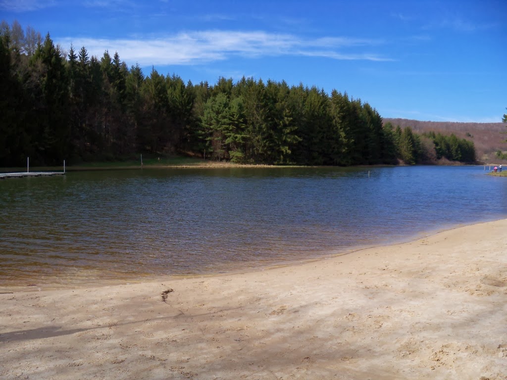 New Deal of the Day New Germany State Park