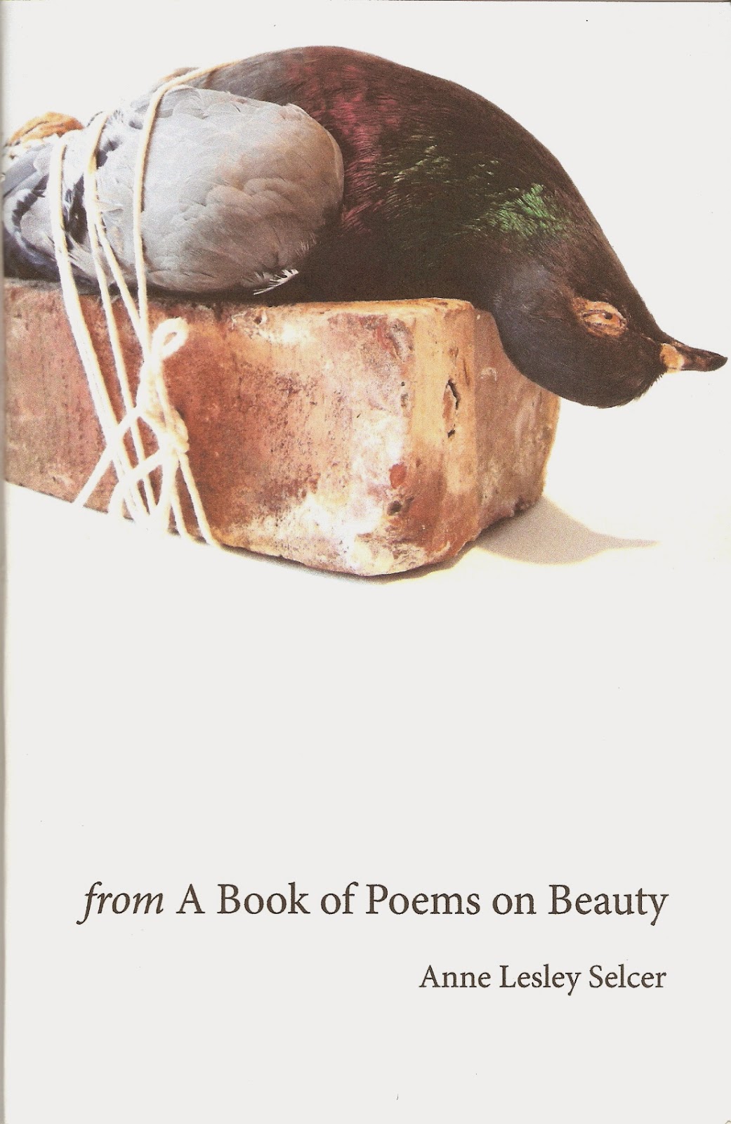 THE DISINHIBITOR Anne Lesley Selcer's Poems on Beauty