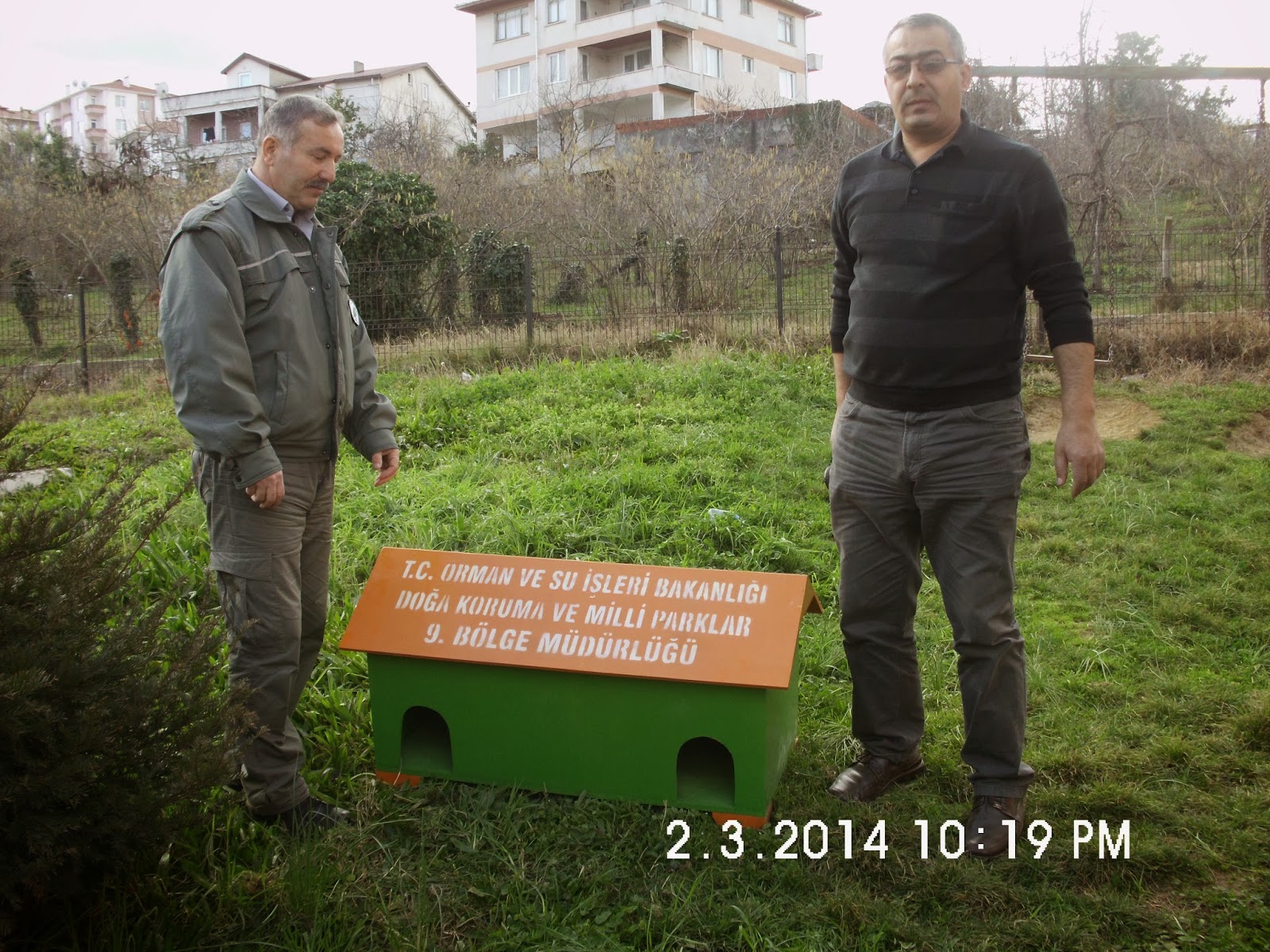 DOĞAL HAYATA SAYGI ORMAN BAKANLIĞI TARAFINDAN İLLERE GÖNDERİLEN KEDİ
