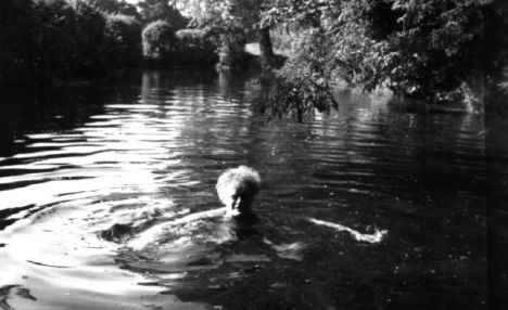 ESTA Einreisegenehmigung