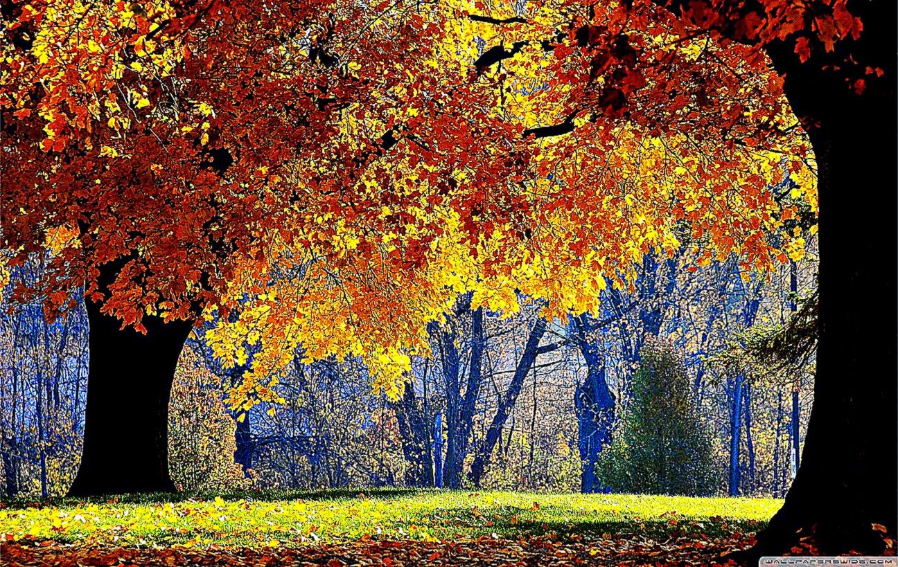 Beautiful Fall HD desktop wallpaper  Widescreen  High Definition Beautiful Fall HD desktop wallpaper  Widescreen  High Definition