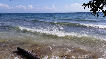 Isla Mucura - Tolú, Sucre