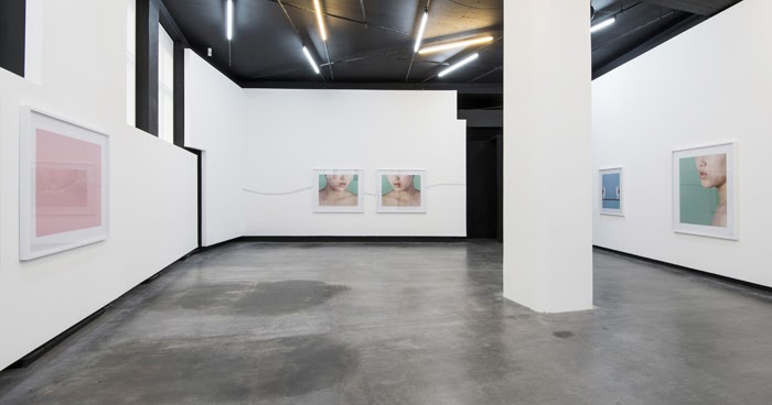 Who S Who In Research Visual Arts Intellect