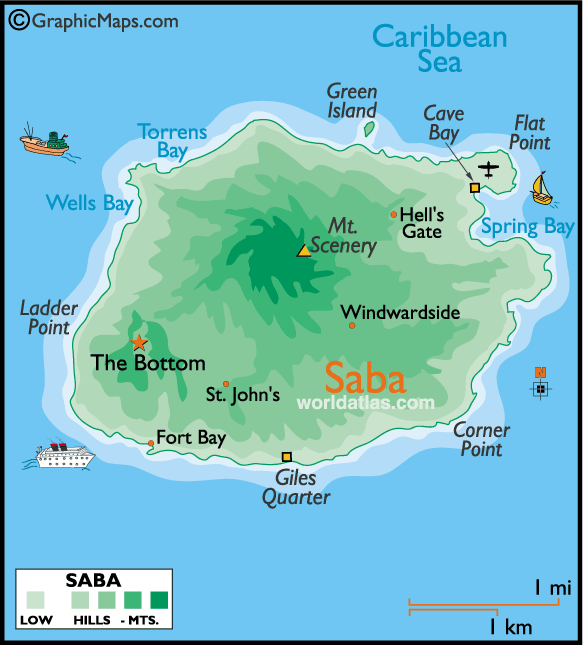 Saba - barrakuda