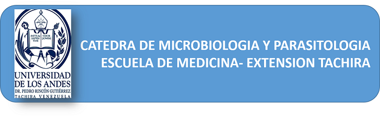 Microbiologia y Parasitología  2022