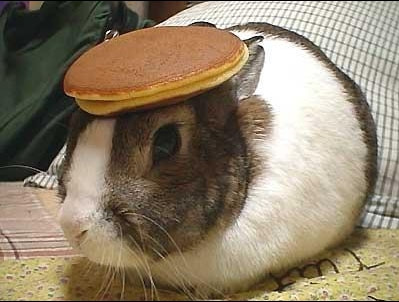 bunny_pancake.jpg