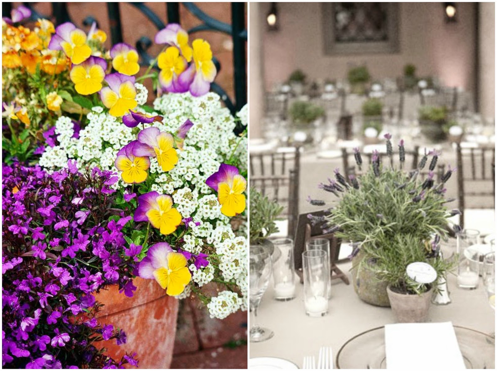 Design Megillah Easy Flowers for the Shavuot Table