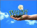 PUSH DAISIES