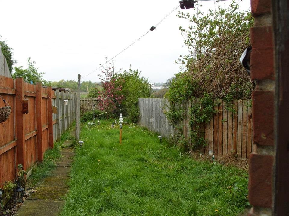 My Garden Longwire i use for HF Shortwave with me own made AMU