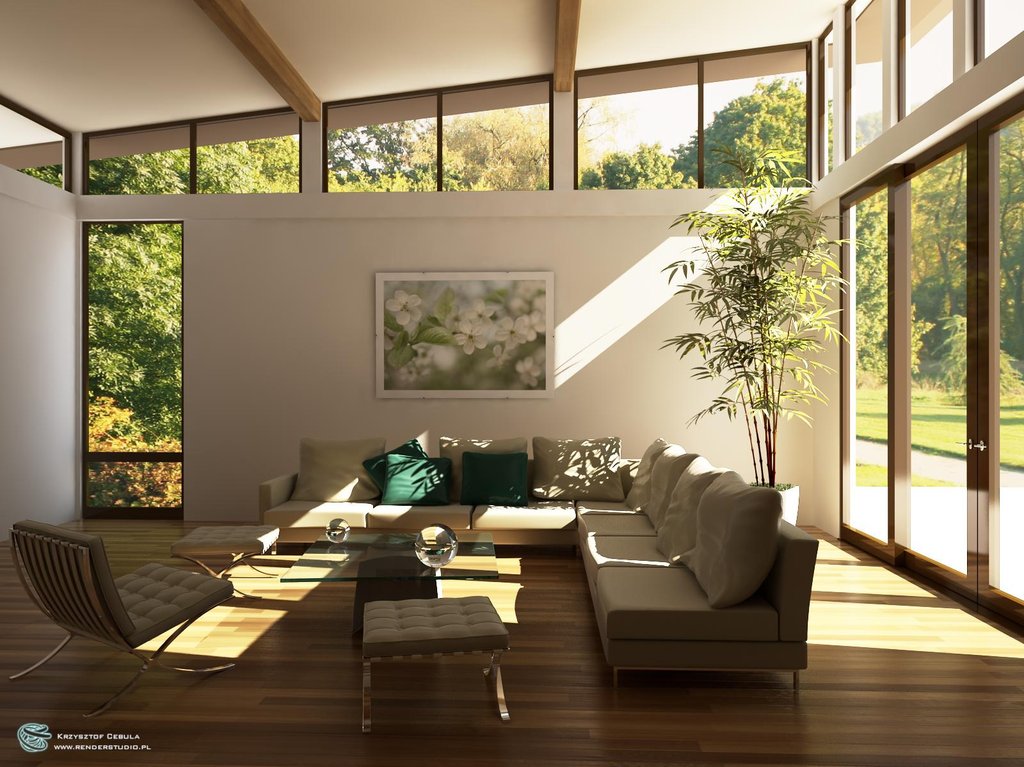 Decorating Living Room Ideas Photo