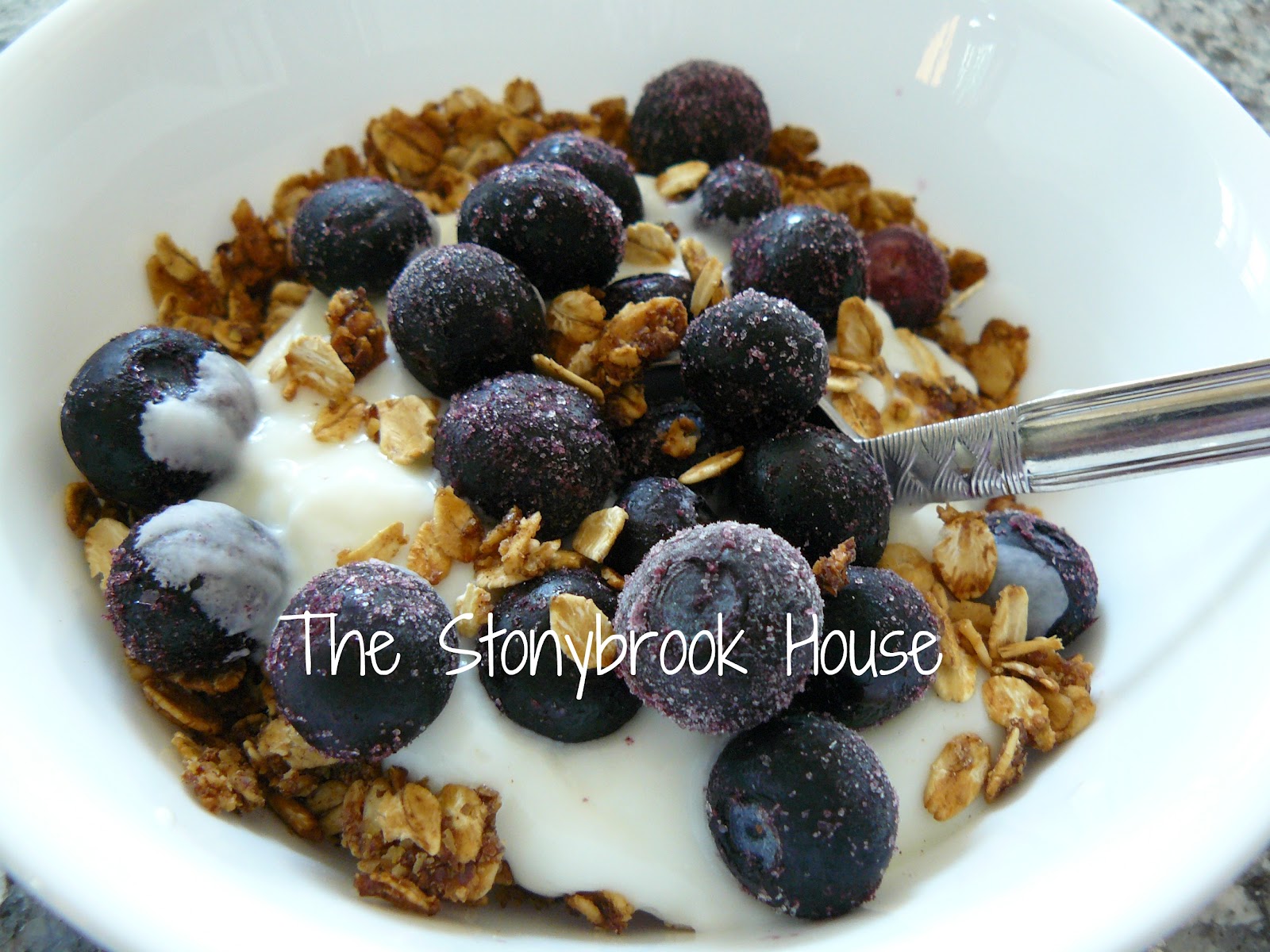 The WORLD’s Best Granola!! The Stonybrook House
