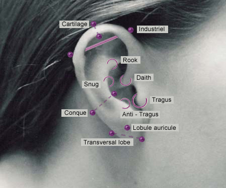 ear piercing diagram testing2 agustus 2011 ear piercing diagram testing2 agustus 2011