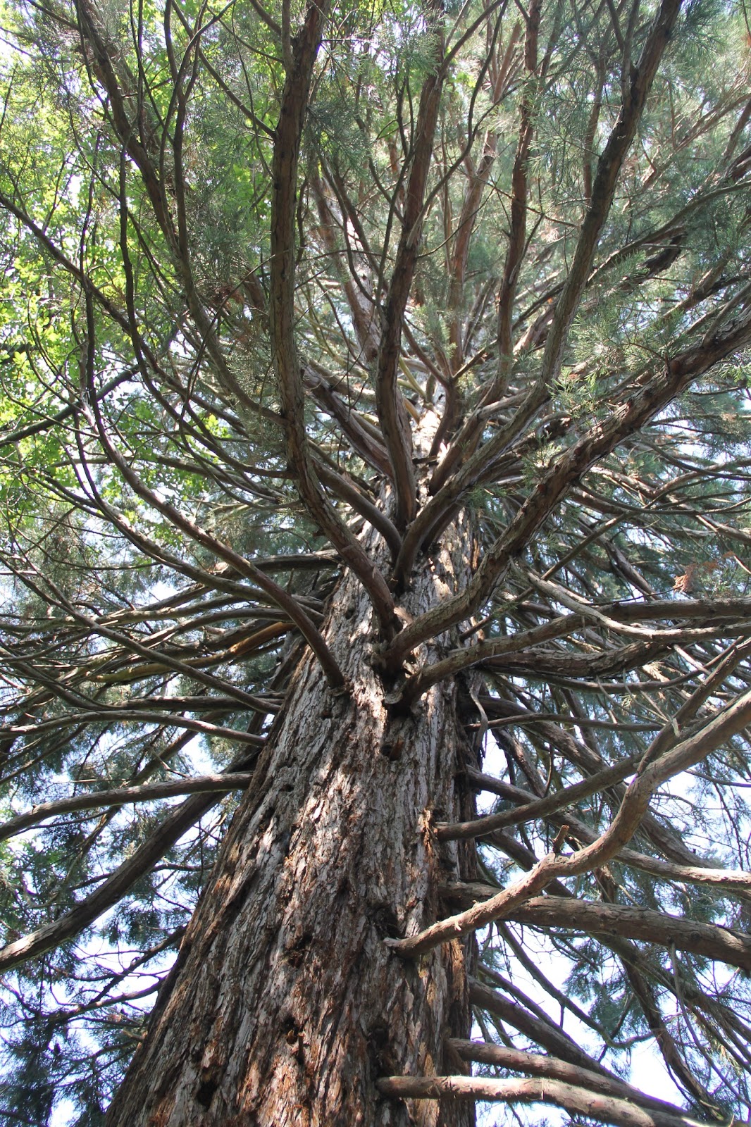 Isabella Conservation District Environmental Education Program Field