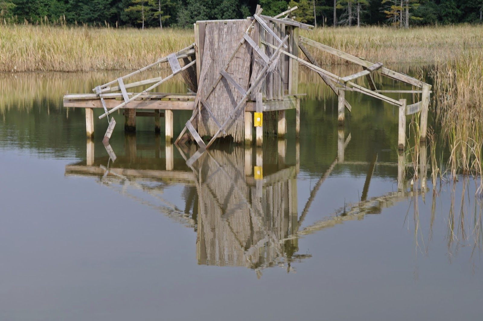 Today on the James: Adopt a Duck Blind