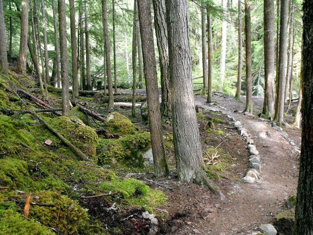 Okanagan Jen Waterfalls of the Okanagan Sicamous Creek Falls