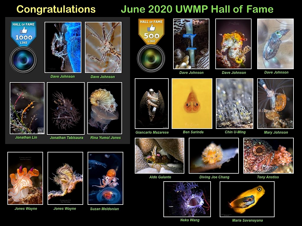 "Hall of Fame" June 2020