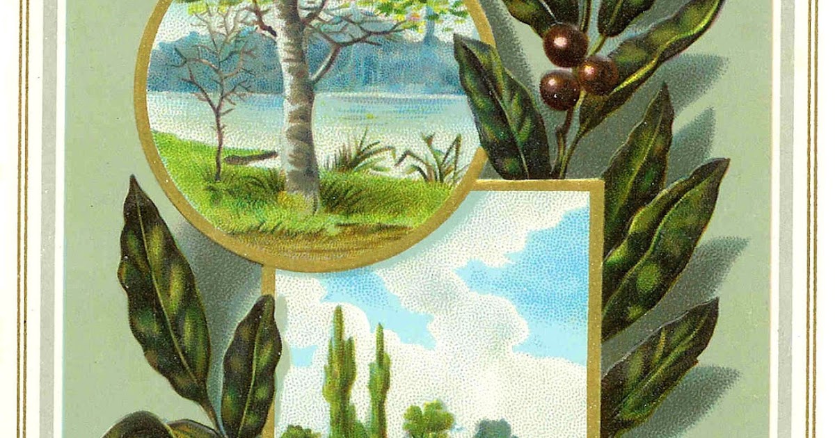 Antique Images: Free Christmas Graphic: Digital Frame Around Christmas Greeting Card