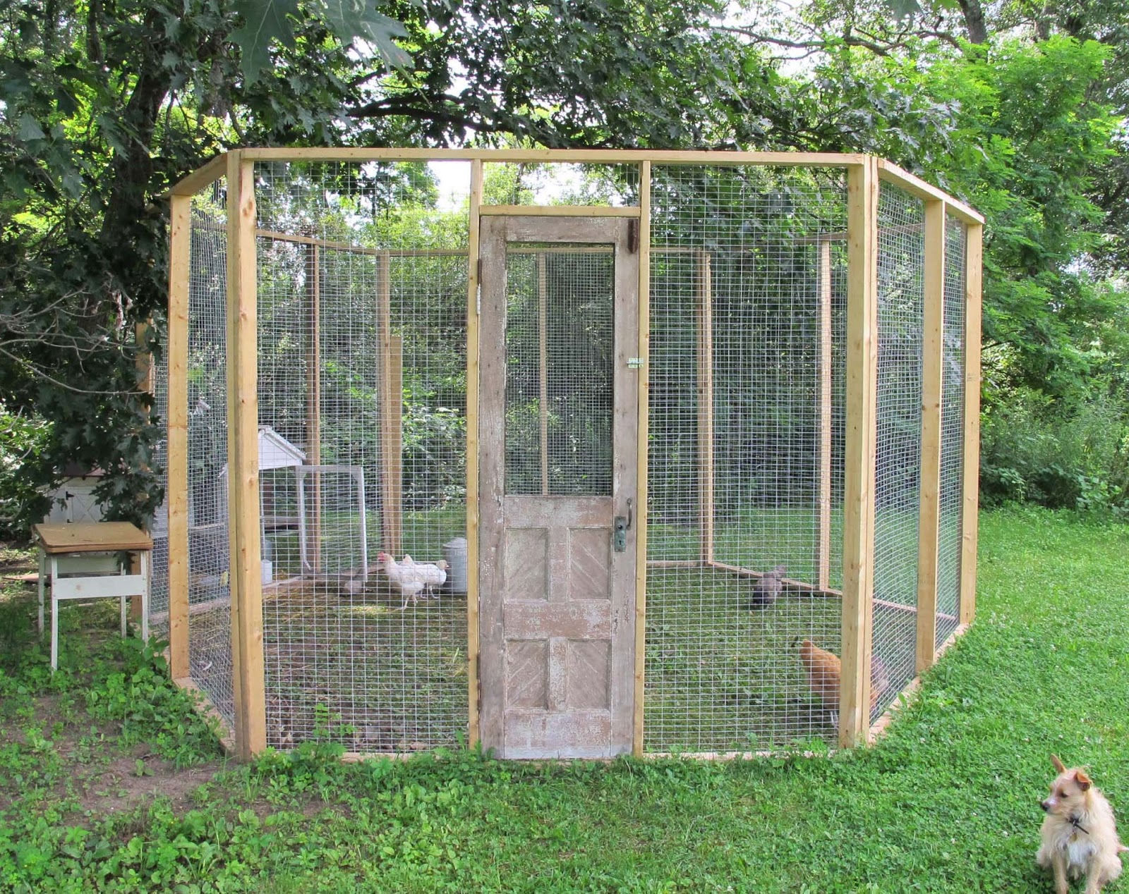 Vintage by Crystal Up goes the chicken coop!