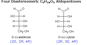 Biochemistry: Pentose