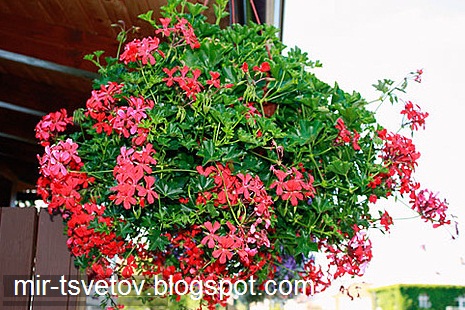 Лунный календарь для Лунный календарь для