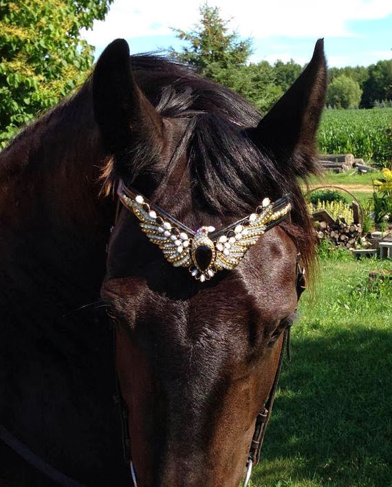 The Mane Point Crafty gifts for horsey folks Blingy bridle browbands
