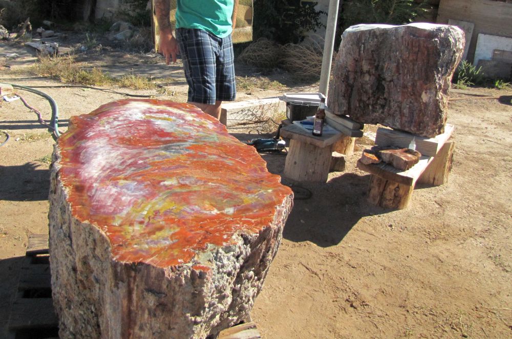 Gypsy Artisan petrified wood