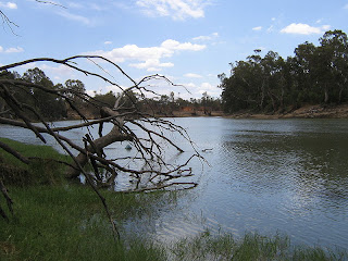 Fluviul Murray